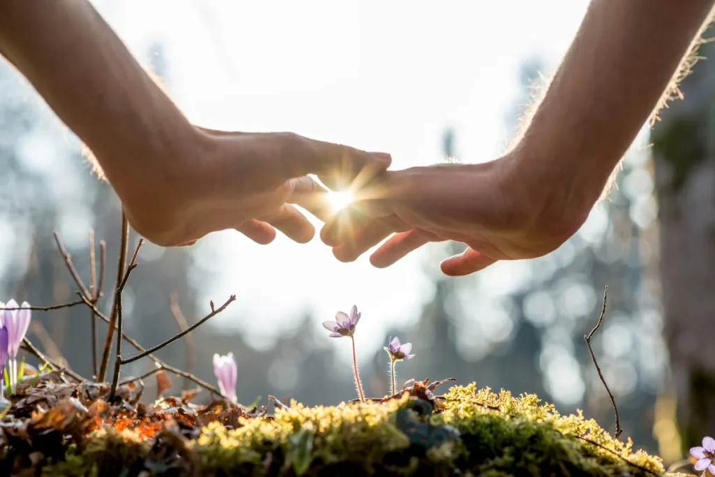 Hands gently hovering above blooming wildflowers in a sunlit forest, with sunlight shining between the fingers, symbolizing energy healing and connection to nature.