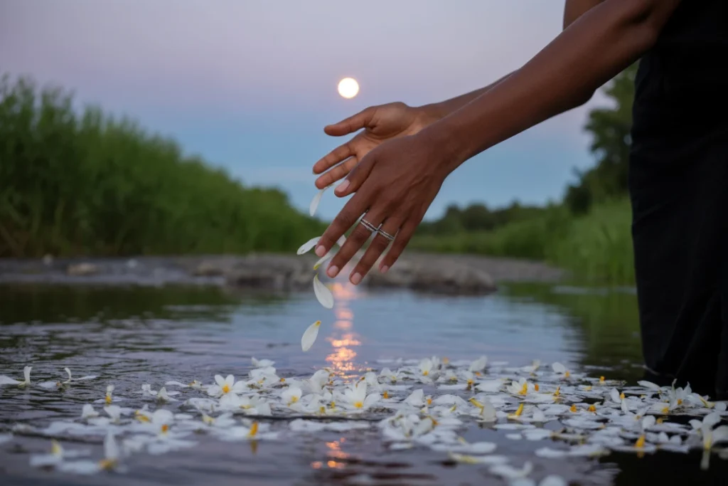 Hands releasing white flower petals into a calm river at sunset, symbolizing Divine Muscle Testing™ and the gentle release of energy in healing.